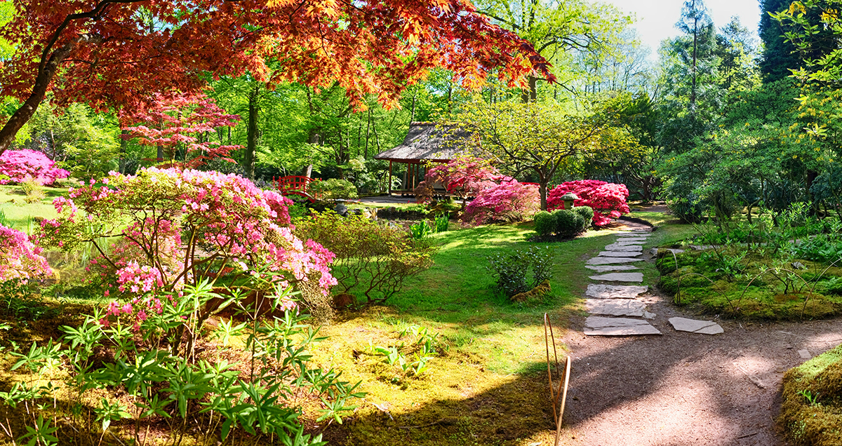 Zen Garden - Be Good To Your Heart